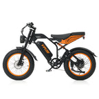 VIPCOO VM6 Fat Tyre Electric Bike 48V 18.2Ah | 20" All-Terrain E-Bike